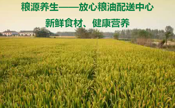 深到你身邊 深圳首家糧油送貨到家，品質(zhì)生活從餐桌開(kāi)始
